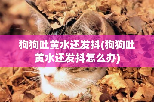 狗狗吐黃水還發抖(狗狗吐黃水還發抖怎么辦)