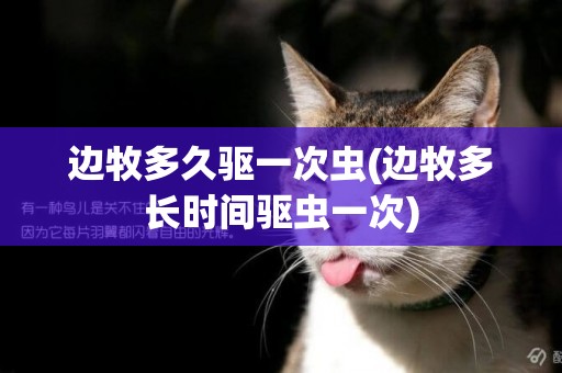 邊牧多久驅一次蟲(邊牧多長時間驅蟲一次)