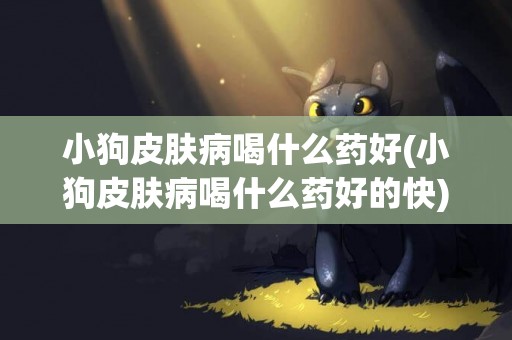 小狗皮膚病喝什么藥好(小狗皮膚病喝什么藥好的快)