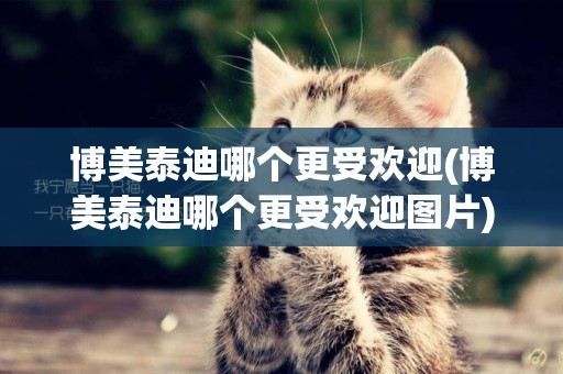 博美泰迪哪個更受歡迎(博美泰迪哪個更受歡迎圖片)