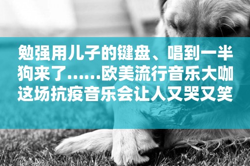 勉強用兒子的鍵盤、唱到一半狗來了……歐美流行音樂大咖這場抗疫音樂會讓人又哭又笑 