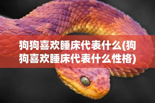 狗狗喜歡睡床代表什么(狗狗喜歡睡床代表什么性格)