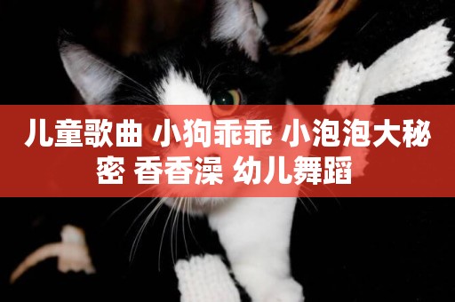 兒童歌曲 小狗乖乖 小泡泡大秘密 香香澡 幼兒舞蹈 