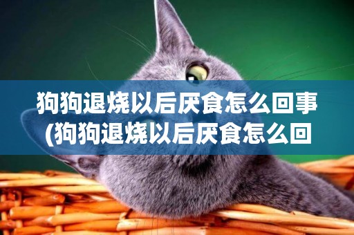 狗狗退燒以后厭食怎么回事(狗狗退燒以后厭食怎么回事吃什么藥)