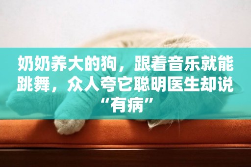 奶奶養大的狗，跟著音樂就能跳舞，眾人夸它聰明醫生卻說“有病” 