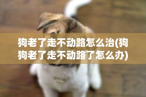 狗老了走不動路怎么治(狗狗老了走不動路了怎么辦)