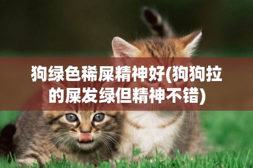 狗綠色稀屎精神好(狗狗拉的屎發綠但精神不錯)