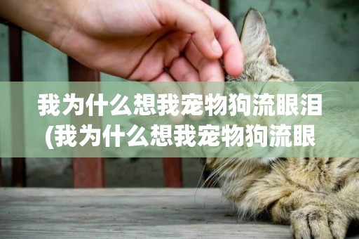 我為什么想我寵物狗流眼淚(我為什么想我寵物狗流眼淚呢)