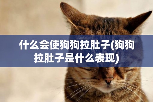 什么會使狗狗拉肚子(狗狗拉肚子是什么表現)