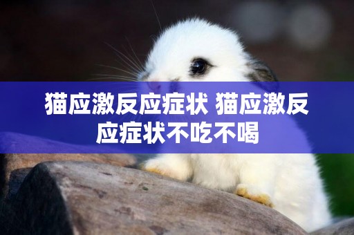貓應激反應癥狀 貓應激反應癥狀不吃不喝