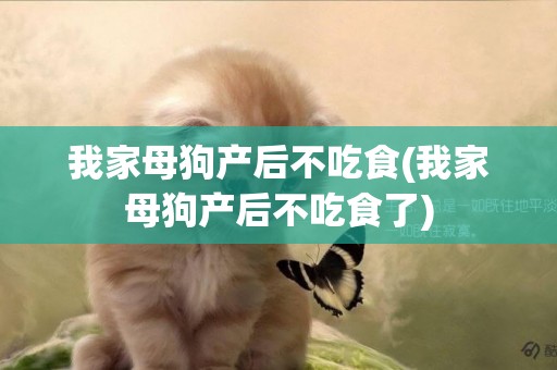 我家母狗產后不吃食(我家母狗產后不吃食了)