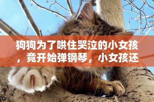 狗狗為了哄住哭泣的小女孩，竟開始彈鋼琴，小女孩還跟著音樂扭動 