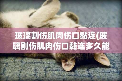 玻璃割傷肌肉傷口黏連(玻璃割傷肌肉傷口黏連多久能好)