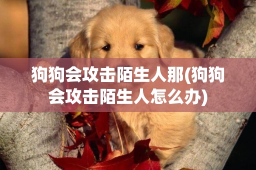 狗狗會攻擊陌生人那(狗狗會攻擊陌生人怎么辦)