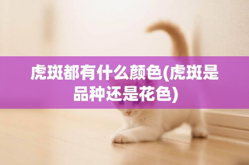 虎斑都有什么顏色(虎斑是品種還是花色)