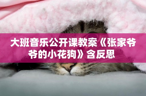 大班音樂公開課教案《張家爺爺的小花狗》含反思 