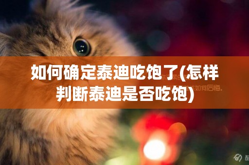 如何確定泰迪吃飽了(怎樣判斷泰迪是否吃飽)