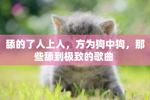 舔的了人上人，方為狗中狗，那些舔到極致的歌曲 
