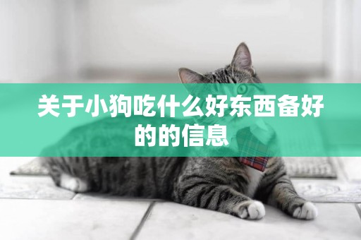 關于小狗吃什么好東西備好的的信息