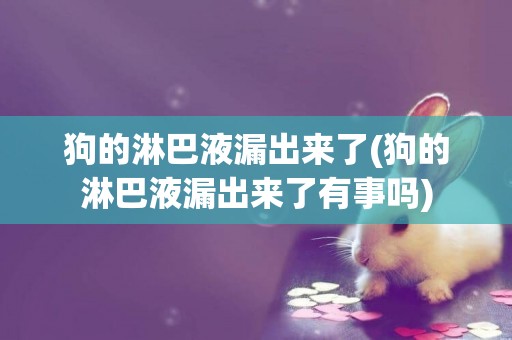 狗的淋巴液漏出來了(狗的淋巴液漏出來了有事嗎)