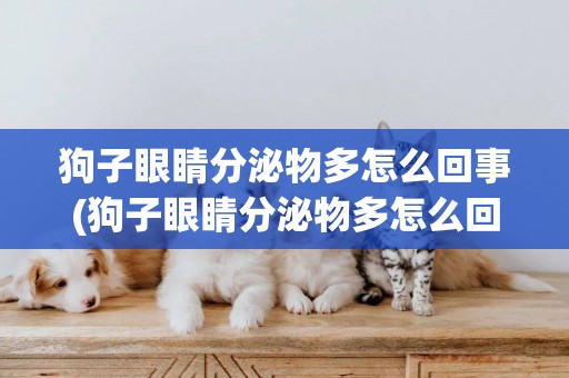 狗子眼睛分泌物多怎么回事(狗子眼睛分泌物多怎么回事啊)