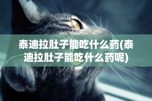 泰迪拉肚子能吃什么藥(泰迪拉肚子能吃什么藥呢)