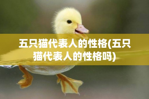 五只貓代表人的性格(五只貓代表人的性格嗎)
