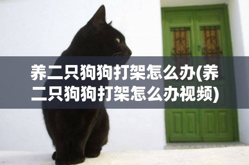 養二只狗狗打架怎么辦(養二只狗狗打架怎么辦視頻)