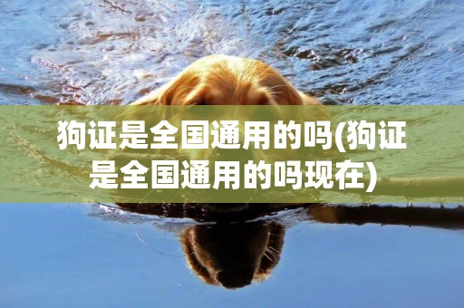 狗證是全國通用的嗎(狗證是全國通用的嗎現在)