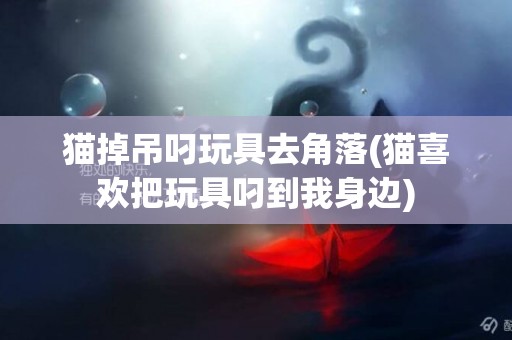 貓掉吊叼玩具去角落(貓喜歡把玩具叼到我身邊)