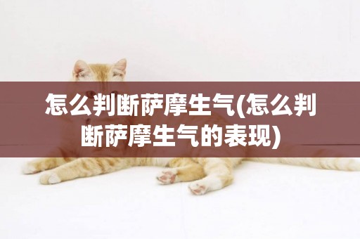 怎么判斷薩摩生氣(怎么判斷薩摩生氣的表現)