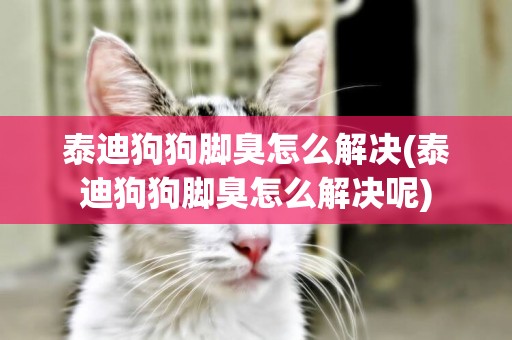 泰迪狗狗腳臭怎么解決(泰迪狗狗腳臭怎么解決呢)