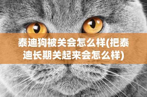 泰迪狗被關會怎么樣(把泰迪長期關起來會怎么樣)