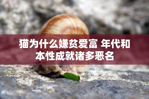 貓為什么嫌貧愛富 年代和本性成就諸多惡名