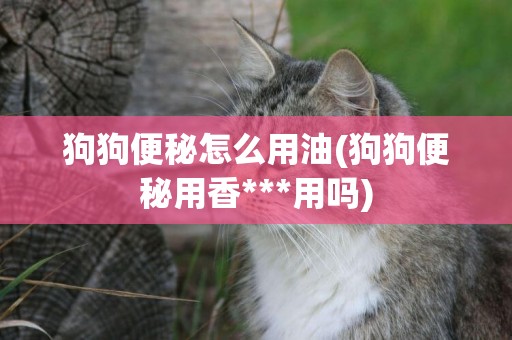 狗狗便秘怎么用油(狗狗便秘用香***用嗎)