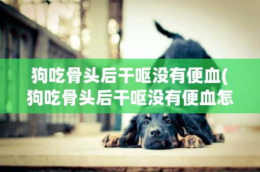 狗吃骨頭后干嘔沒有便血(狗吃骨頭后干嘔沒有便血怎么回事)