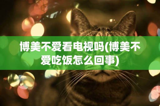 博美不愛看電視嗎(博美不愛吃飯怎么回事)