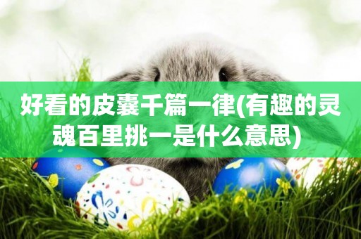 好看的皮囊千篇一律(有趣的靈魂百里挑一是什么意思) 