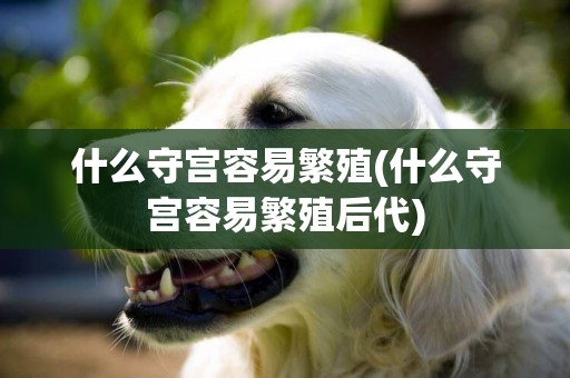 什么守宮容易繁殖(什么守宮容易繁殖后代)