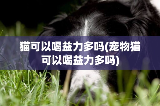 貓可以喝益力多嗎(寵物貓可以喝益力多嗎)