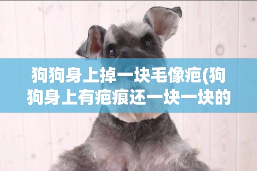 狗狗身上掉一塊毛像疤(狗狗身上有疤痕還一塊一塊的掉毛)