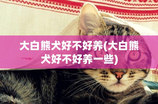 大白熊犬好不好養(大白熊犬好不好養一些)