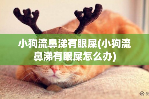 小狗流鼻涕有眼屎(小狗流鼻涕有眼屎怎么辦)