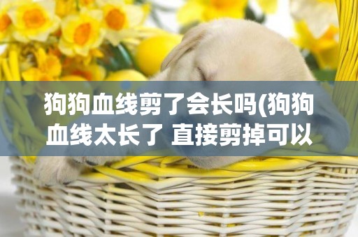 狗狗血線剪了會長嗎(狗狗血線太長了 直接剪掉可以么)