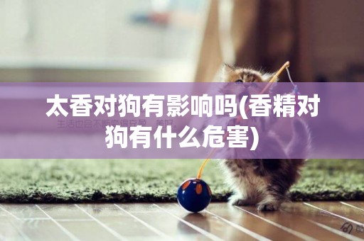太香對狗有影響嗎(香精對狗有什么危害)