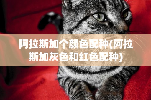 阿拉斯加個顏色配種(阿拉斯加灰色和紅色配種)