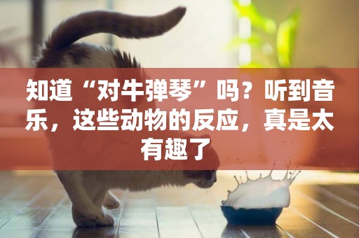知道“對牛彈琴”嗎？聽到音樂，這些動物的反應，真是太有趣了 