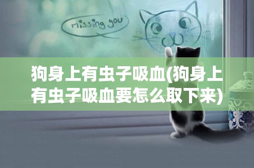 狗身上有蟲子吸血(狗身上有蟲子吸血要怎么取下來)