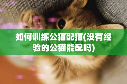 如何訓練公貓配貓(沒有經驗的公貓能配嗎)