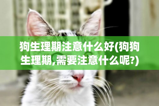 狗生理期注意什么好(狗狗生理期,需要注意什么呢?)
